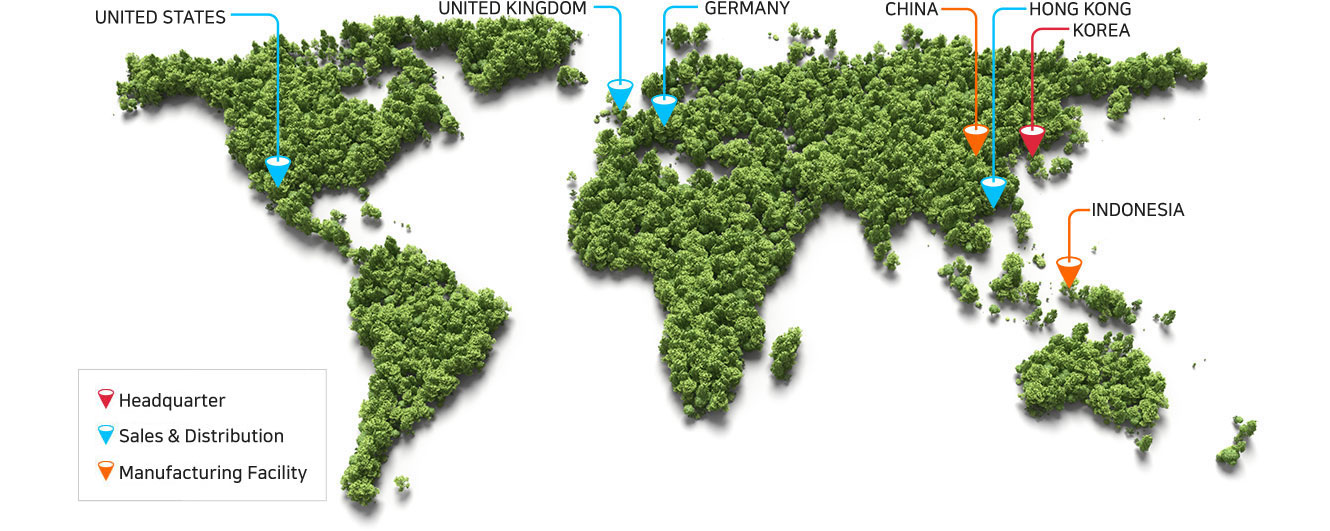 Global Network Map