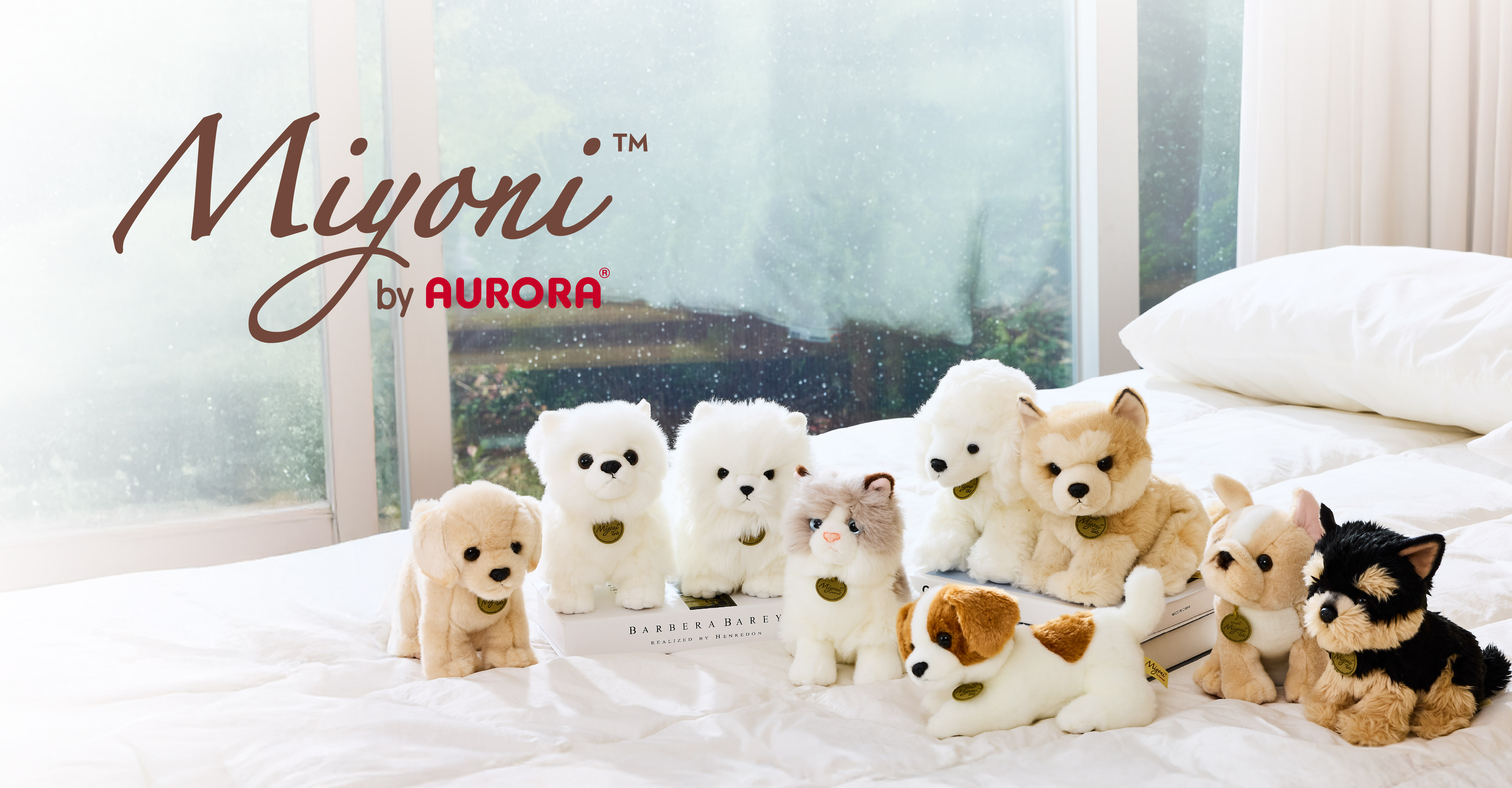 Main Banner 2