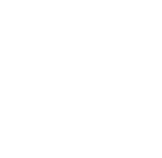 GLOBAL TOY